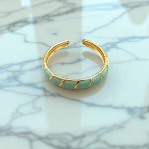 Anillo
