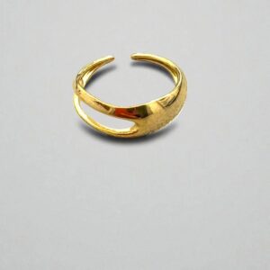 Anillo